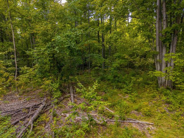 VL 17.5A Nw Walker Road, Nw, Kalkaska Twp, MI 49676