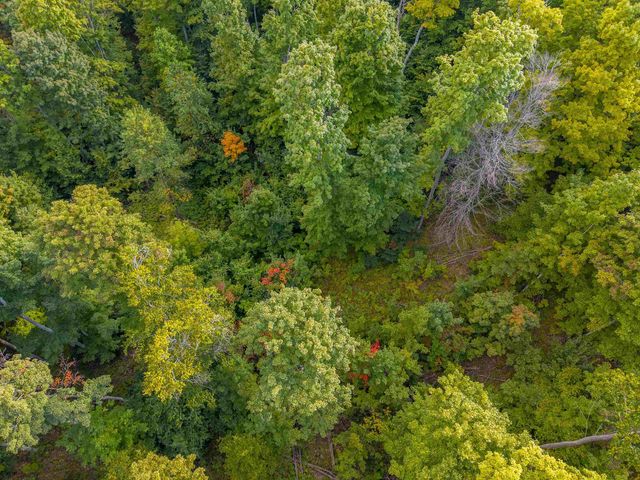 VL 17.5A Nw Walker Road, Nw, Kalkaska Twp, MI 49676