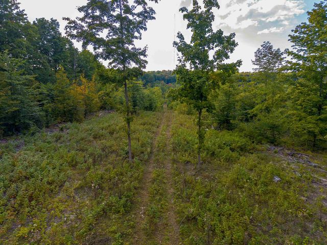 VL 17.5A Nw Walker Road, Nw, Kalkaska Twp, MI 49676