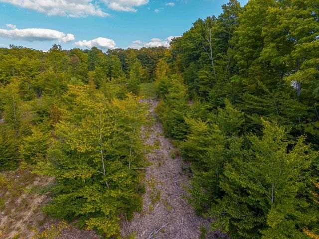 VL 17.5A Nw Walker Road, Nw, Kalkaska Twp, MI 49676