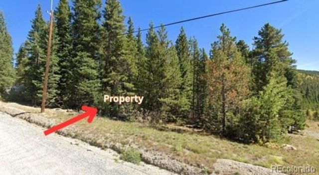 U1 Lot 47 Silver Creek Road, Idaho Springs, CO 80452