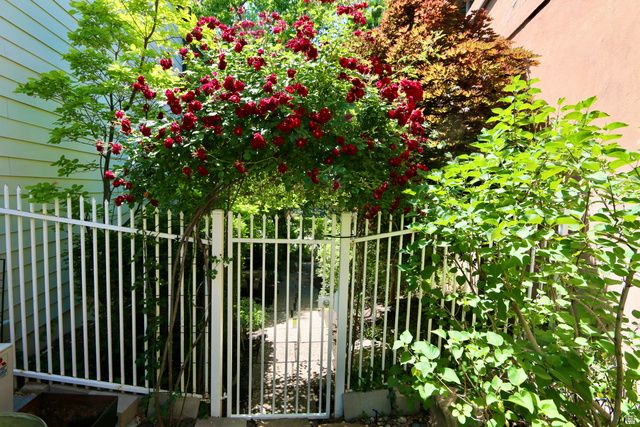 264 N ALMOND ST, Salt Lake City, UT 84103