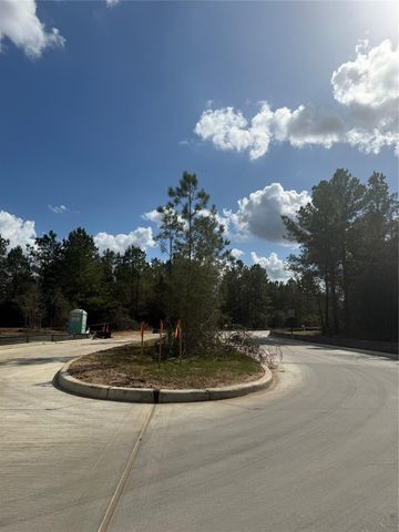 26747 Alderbrook Avenue, Montgomery, TX 77316