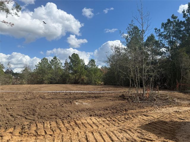 26747 Alderbrook Avenue, Montgomery, TX 77316