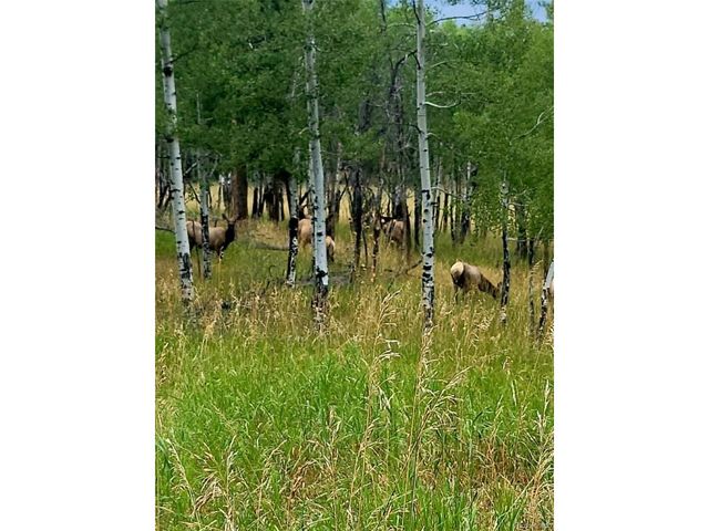 6528 Modoc Ln, Evergreen, CO 80439