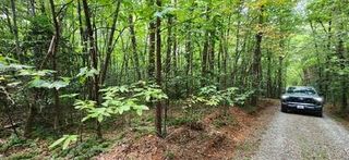 Lot 36A Old Mill Pond Road, Mineral Bluff, GA 30559