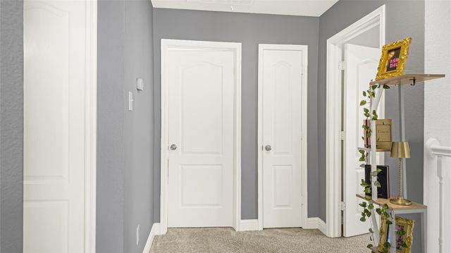 21206 Fire Wind Court, Spring, TX 77379