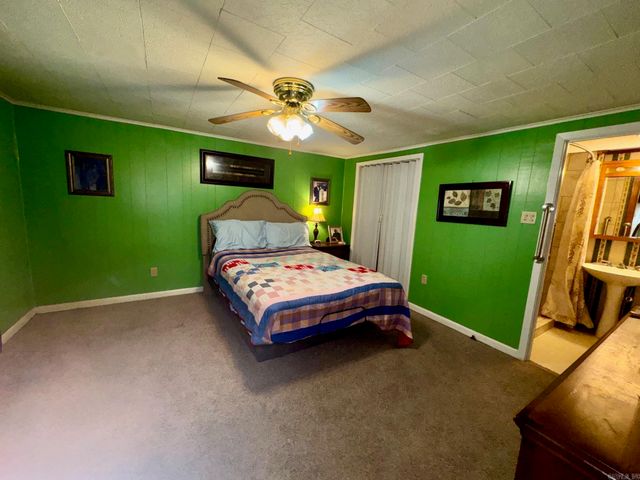 202 Skunk Hollow Road, Conway, AR 72032
