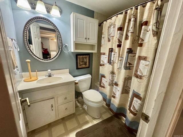 202 Skunk Hollow Road, Conway, AR 72032