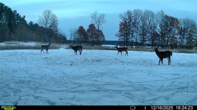3675 S County Rd K, Fall Creek, WI 54742