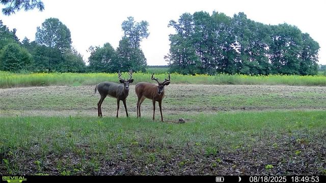 3675 S County Rd K, Fall Creek, WI 54742