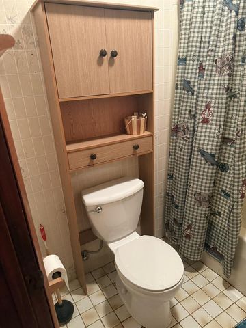 63380 Trout Lake Rd, Iron River, WI 54847