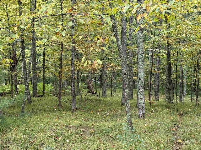 63380 Trout Lake Rd, Iron River, WI 54847