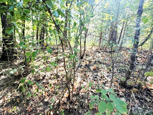 18886 Sugar Creek Road, Garfield, AR 72732