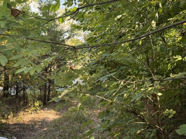 18886 Sugar Creek Road, Garfield, AR 72732