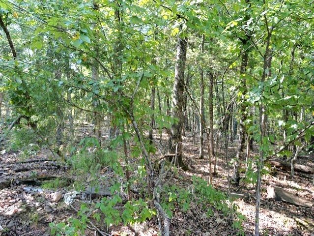18886 Sugar Creek Road, Garfield, AR 72732