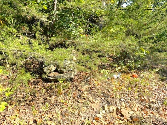 18886 Sugar Creek Road, Garfield, AR 72732
