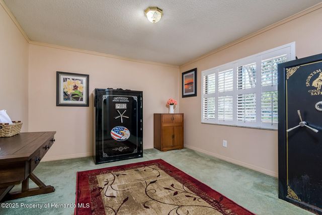 4942 CR 300, Lake Panasoffkee, FL 33538