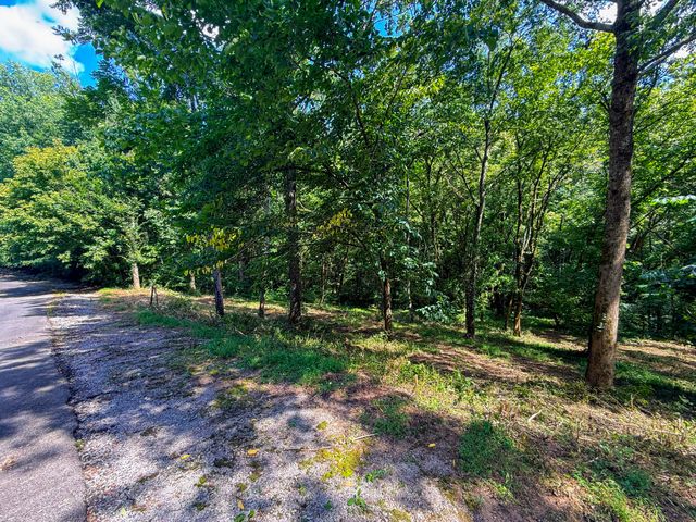 0 Savannah Dr, Smithville, TN 37166