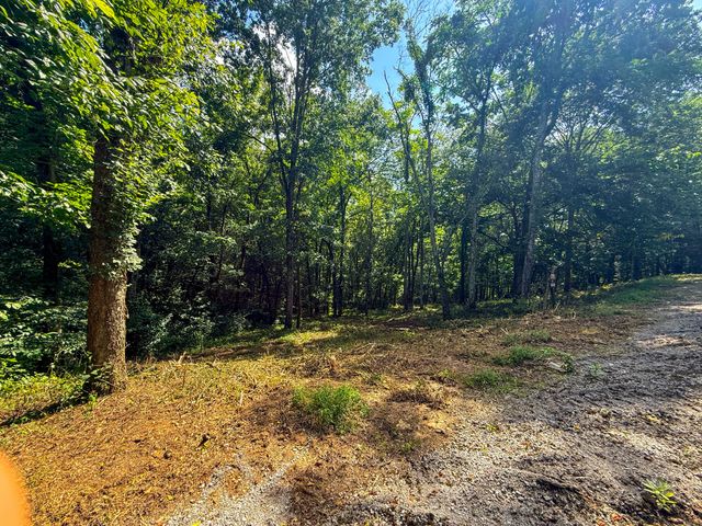 0 Savannah Dr, Smithville, TN 37166