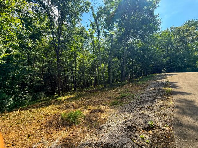 0 Savannah Dr, Smithville, TN 37166