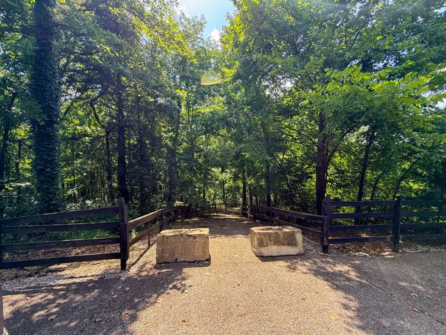 0 Savannah Dr, Smithville, TN 37166