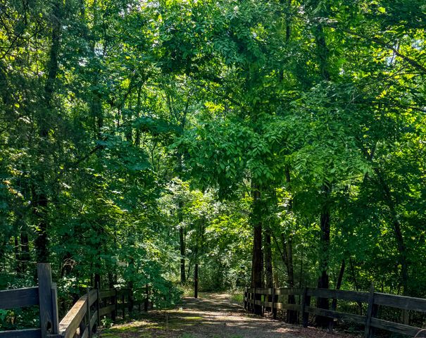 0 Savannah Dr, Smithville, TN 37166