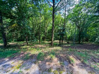 0 Savannah Dr, Smithville, TN 37166