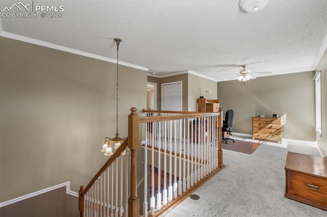 5440 Setters Way, Colorado Springs, CO 80919