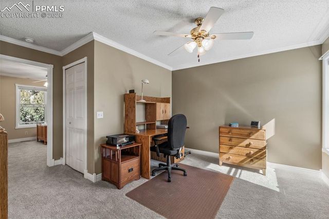 5440 Setters Way, Colorado Springs, CO 80919