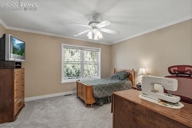 5440 Setters Way, Colorado Springs, CO 80919