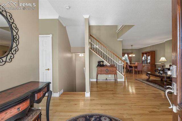 5440 Setters Way, Colorado Springs, CO 80919