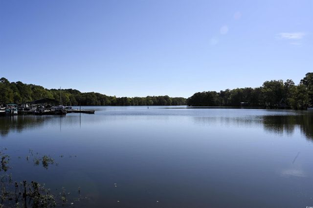 1090 Bridgeview Lane A201, Summerton, SC 29148