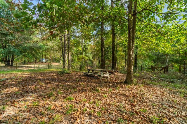 1276 Mill Gate Road, Livingston, TX 77351