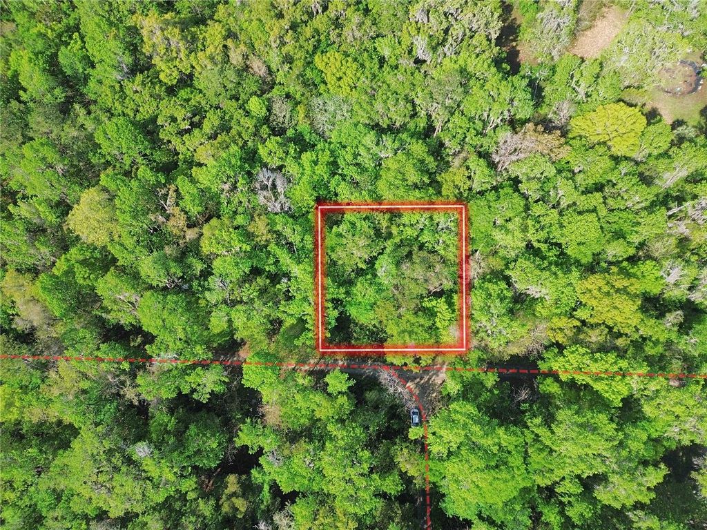 TBD SE 41ST TERRACE, Belleview, FL 34420