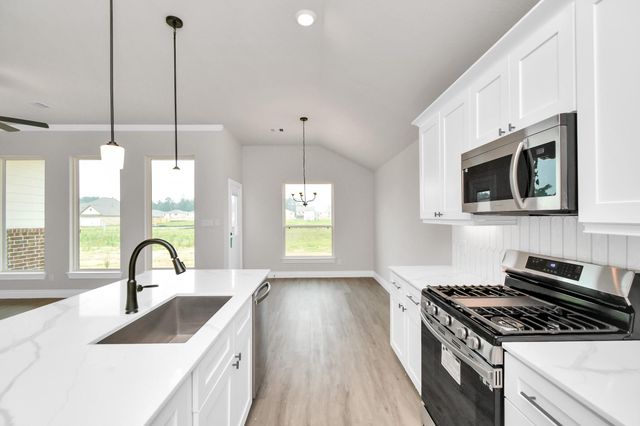 10220 Cabo Del Sol Drive, Cleveland, TX 77327