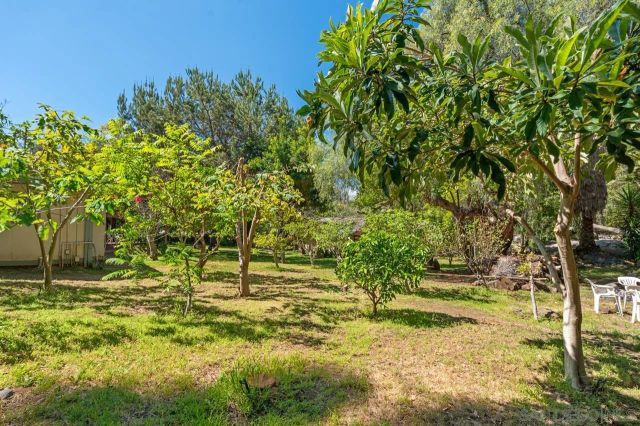 10880 Hess Drive, La Mesa, CA 91941