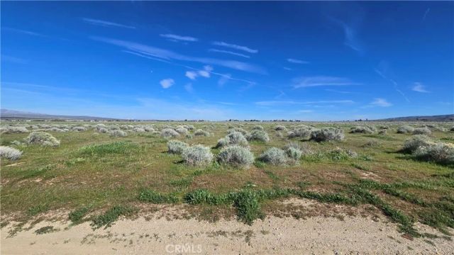 0 Vicinity Ave B12 & 265th St W, Fairmont, CA 93536