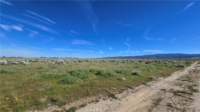 0 Vicinity Ave B12 & 265th St W, Fairmont, CA 93536