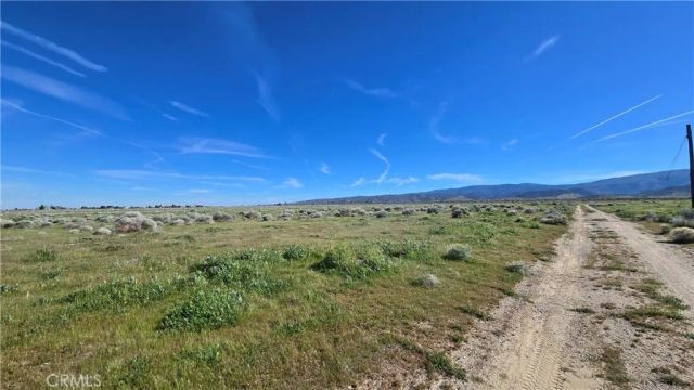 0 Vicinity Ave B12 & 265th St W, Fairmont, CA 93536