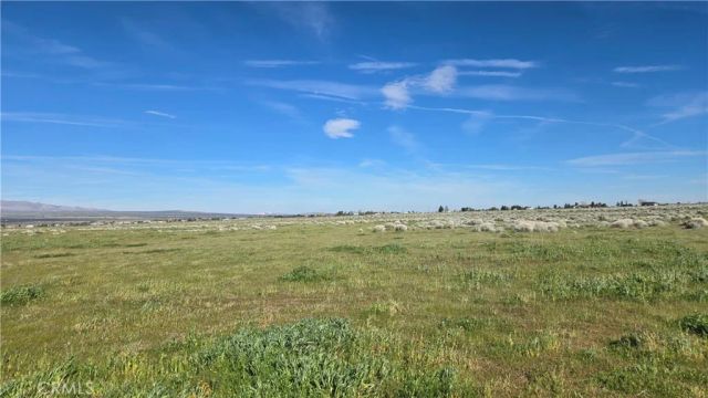 0 Vicinity Ave B12 & 265th St W, Fairmont, CA 93536