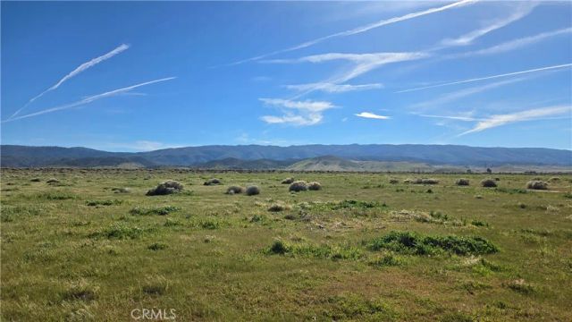 0 Vicinity Ave B12 & 265th St W, Fairmont, CA 93536