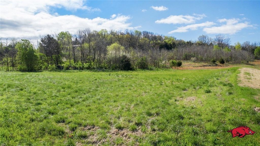 TBD N Cato Springs Road, Greenland, AR 72701