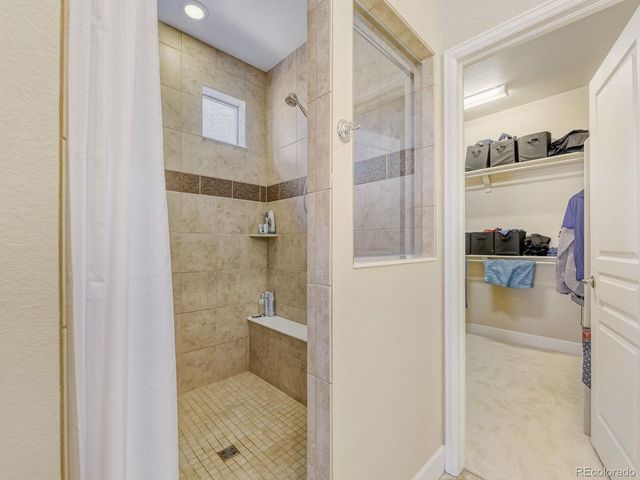 1610 Exquisite St, Castle Rock, CO 80109