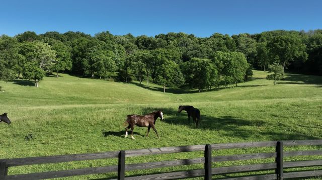 9553 Clovercroft Rd, Franklin, TN 37067