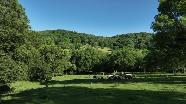 9553 Clovercroft Rd, Franklin, TN 37067