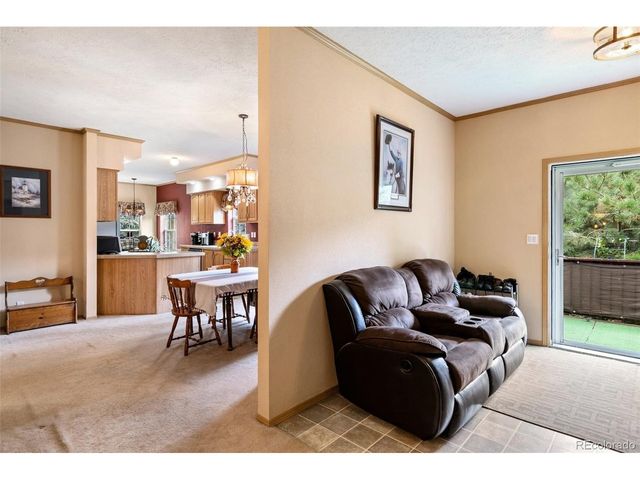 129 Kestrel Ct, Divide, CO 80814