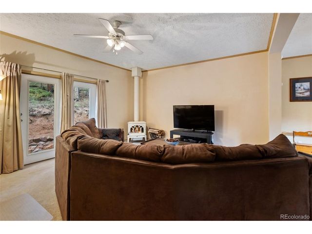 129 Kestrel Ct, Divide, CO 80814
