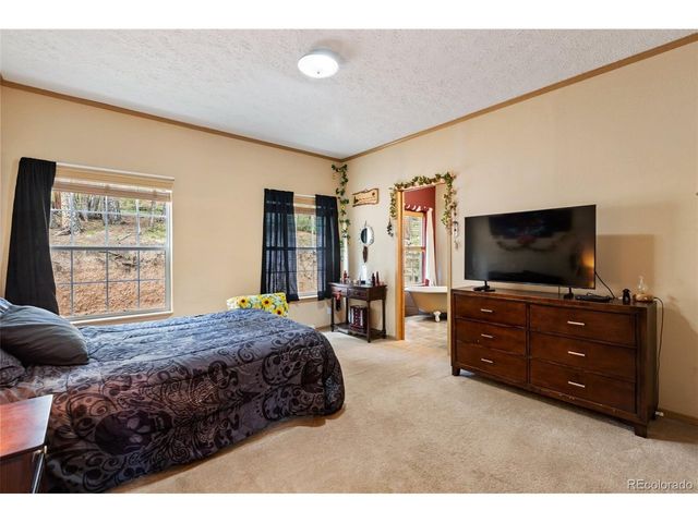129 Kestrel Ct, Divide, CO 80814