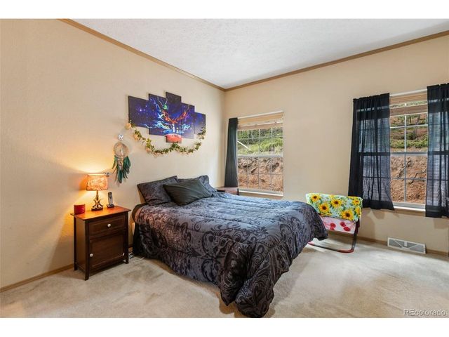 129 Kestrel Ct, Divide, CO 80814